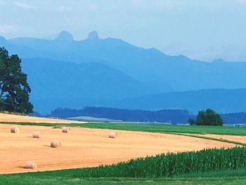 Scenic view of field against sky