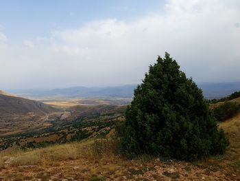 Scenic view of landscape against sky