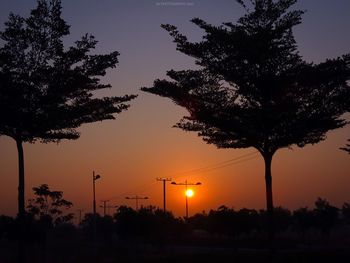 Silhouette tree against sky during sunset