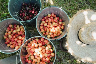 High angle view of fruits in basket