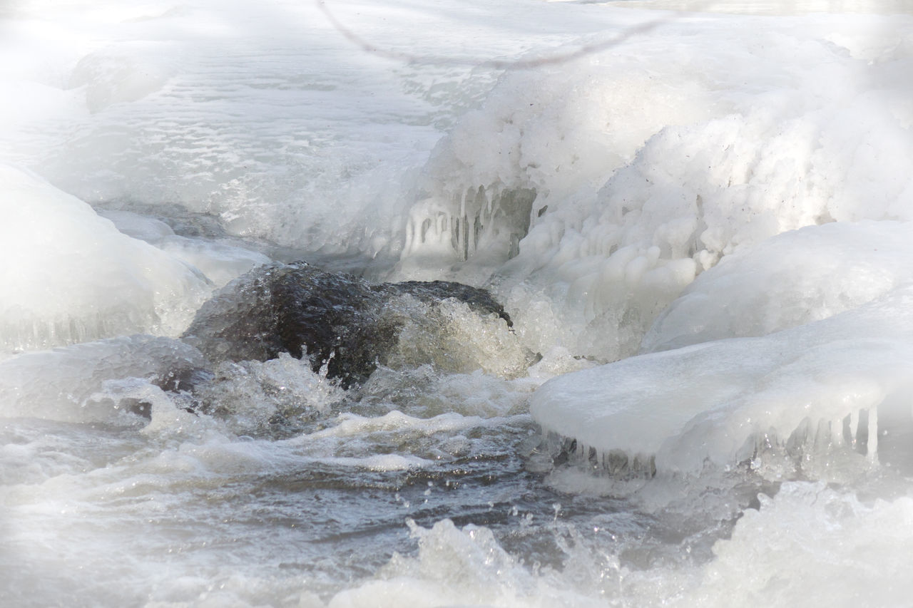 CLOSE-UP OF SEA SHORE