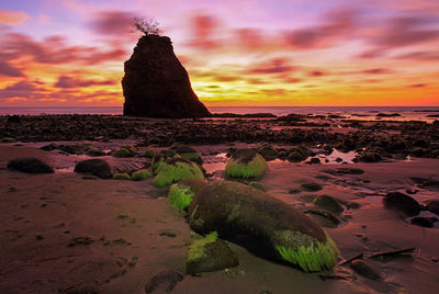 Scenic view of beach during sunset