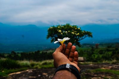 Midsection of person holding plant against sky