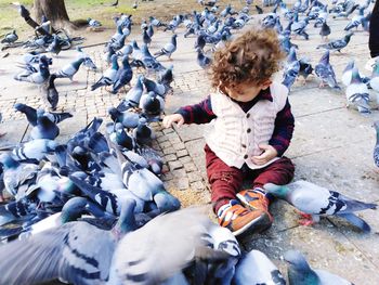 Full length of boy sitting amidst pigeon