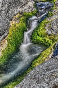 Stream flowing through rocks