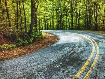 Road amidst trees in forest