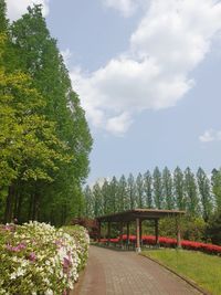 Footpath amidst flowering plants in park against sky