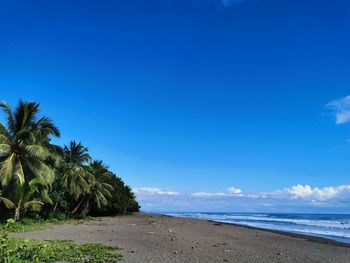 Scenic view of beach against blue sky