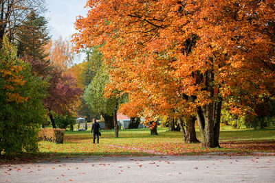 Woman at park during autumn