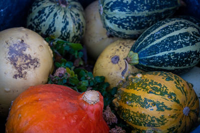 High angle view of pumpkins for sale in market