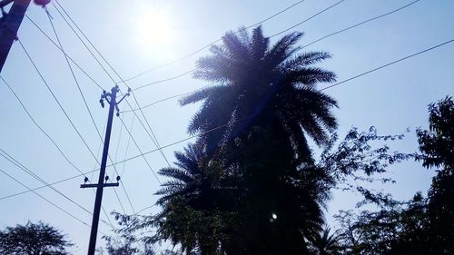 Low angle view of silhouette trees against sky