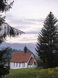 Trees and house against sky