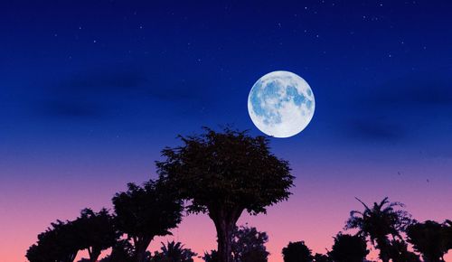 Low angle view of moon in sky