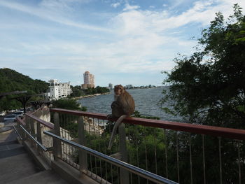 Rear view of man by railing against sky
