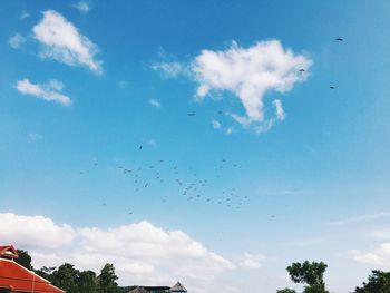 Low angle view of birds flying in sky