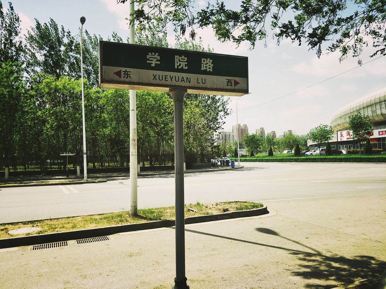 text, communication, tree, direction, outdoors, road, no people, day, growth, sky