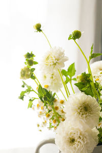 Close-up of white flowers