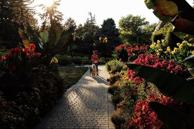 People on footpath amidst flowering plants