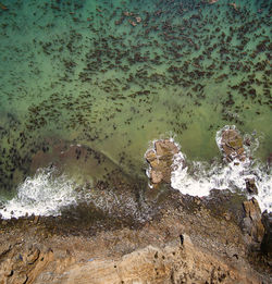 Aerial view of beach