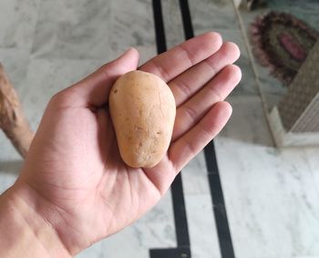 Cropped image of person holding apple