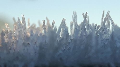 Close-up of snow against sky