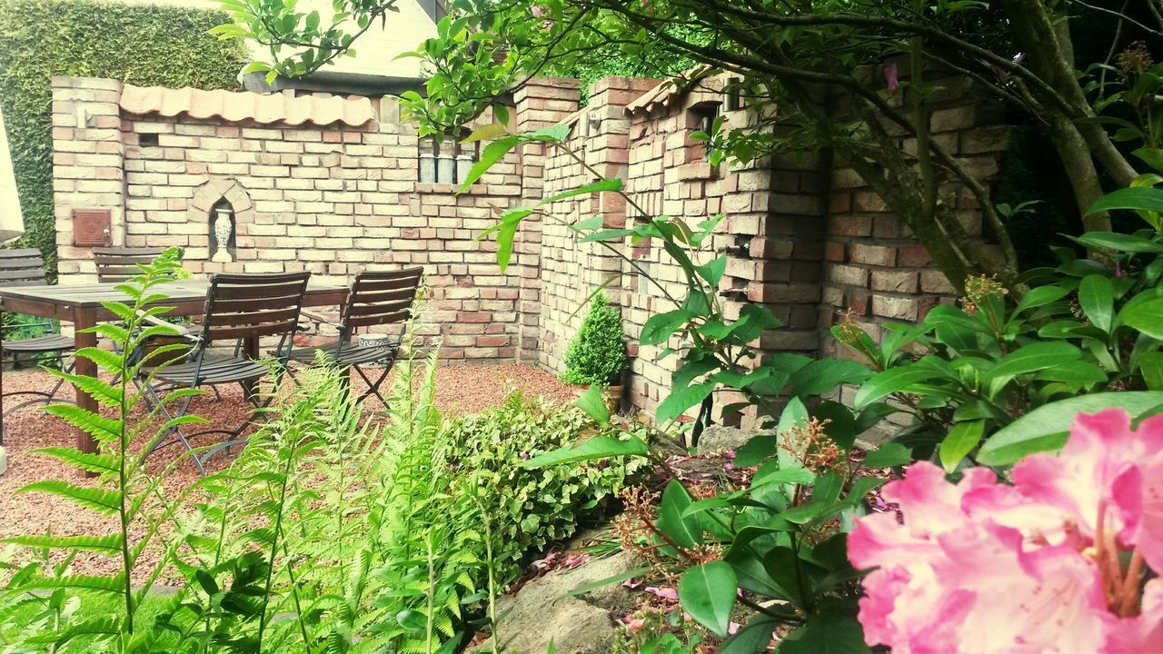 plant, built structure, architecture, building exterior, flower, growth, wall - building feature, leaf, stone wall, green color, steps, house, nature, brick wall, ivy, front or back yard, freshness, outdoors, day, old