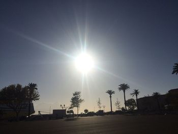 Palm trees against sky during sunset