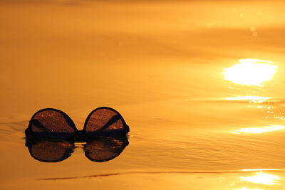 Sunglasses on shore during sunset