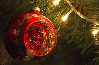 Close-up of illuminated christmas tree at night