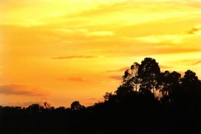 Low angle view of silhouette trees against sky during sunset