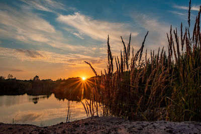 Scenic view of field against sky during sunset