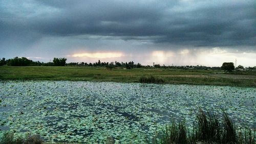 Scenic view of agricultural field against storm clouds