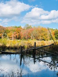 Scenic view of lake by trees against sky