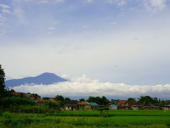 Scenic view of landscape against sky