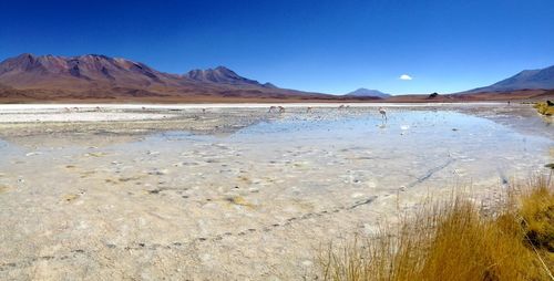 Scenic view of lake against clear sky