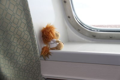 View of animal toy looking through window