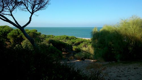 horizon over water