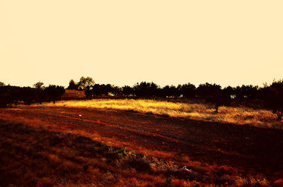 Scenic view of field against sky at sunset