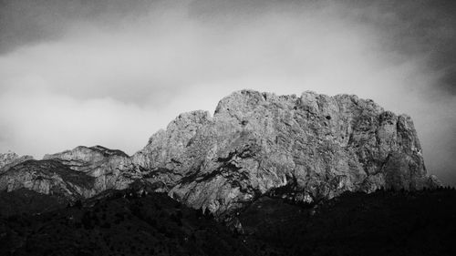 Low angle view of tree against sky