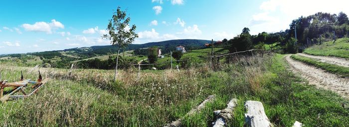 Panoramic shot of trees on field against sky