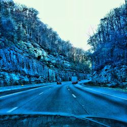 Empty road along trees