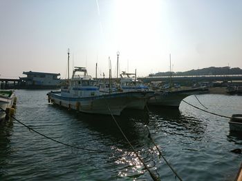 Sailboats in marina