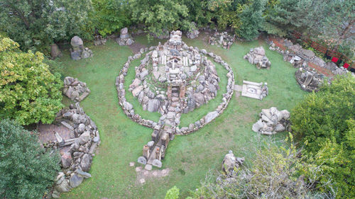 High angle view of plants and trees