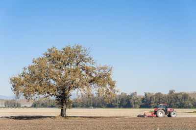 Bicycles on tree against clear sky