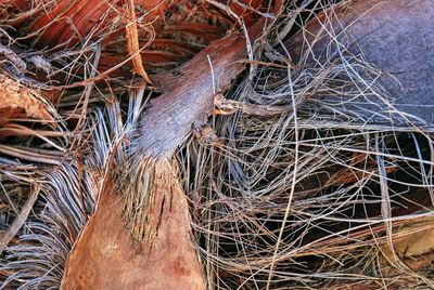 Close-up of fishing net