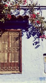 Flower window on building