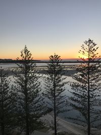 Scenic view of snow covered trees against sky during sunset