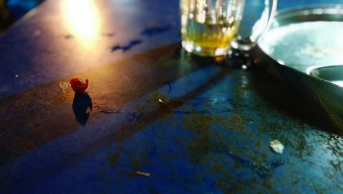 Close-up of leaf on table