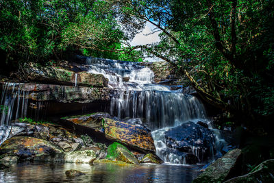 Low angle view of waterfall in forest