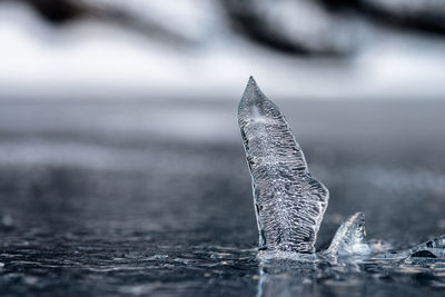 Close-up of ice floating in water